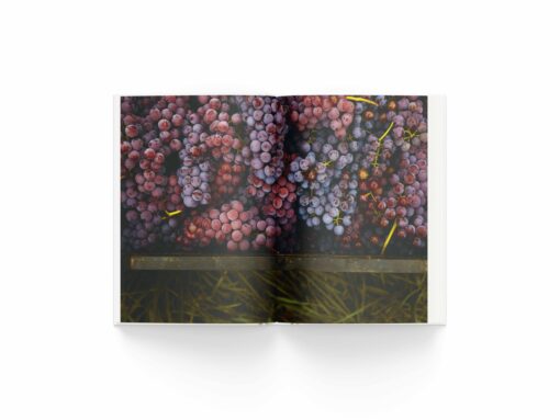 Книжка Нерозказана історія українського виноробства - Зображення 4