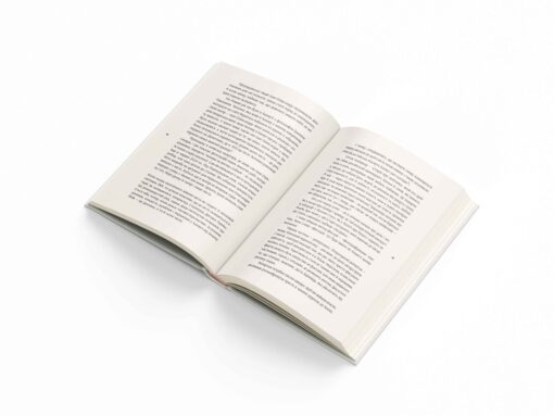Book Бахмут - Image 3